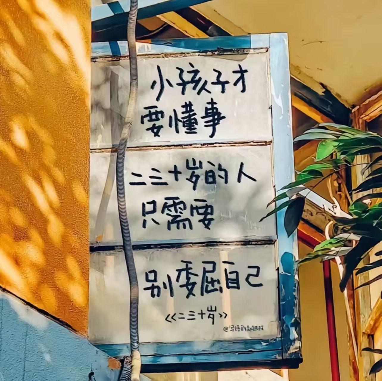 五月的风，有点温柔